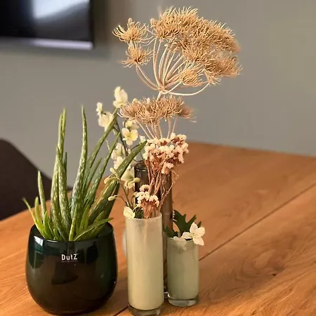 Am Entenanger * Kassel