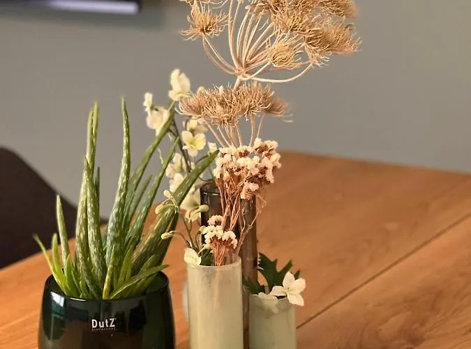 Am Entenanger * Kassel